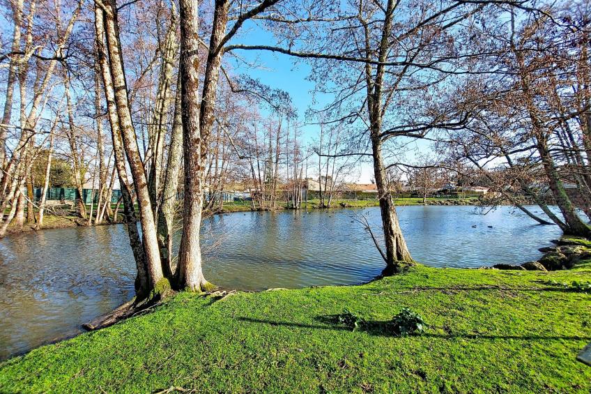 Le Clos des Chênes - foto 30