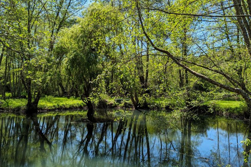 in Périgord Noir Dordogne in der Nähe von Limeuil - foto 15