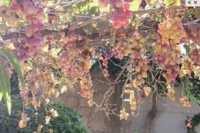 "Iptamena" mit Blick auf das Wasser - foto 12