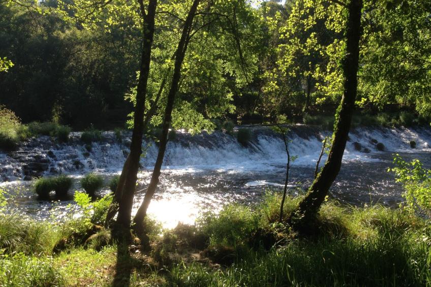 "Großvaters Häuschen" mit Kamin - foto 47