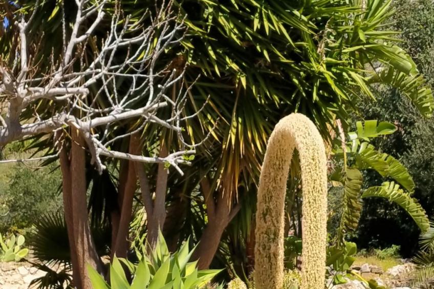 'Suite Zibibbo' mit Aussicht - foto 49