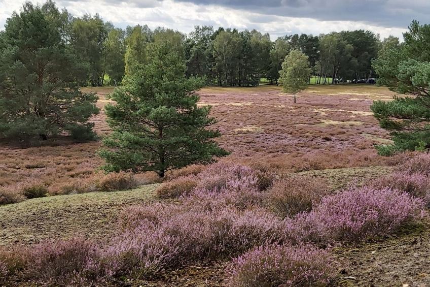 Wohnung in Jameln mit Garten, Grill und Terrasse - foto 36
