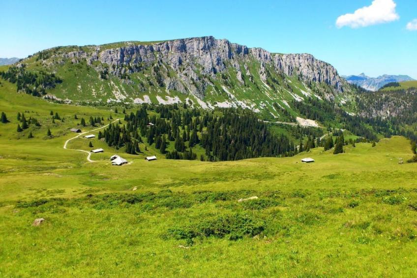 Chalet Ried - foto 39