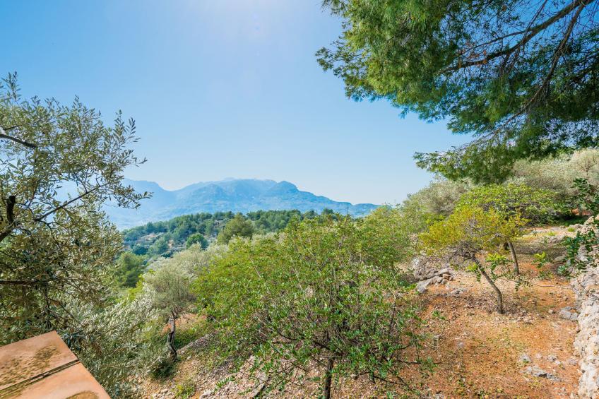 OLIVERET DES PUIG - foto 22