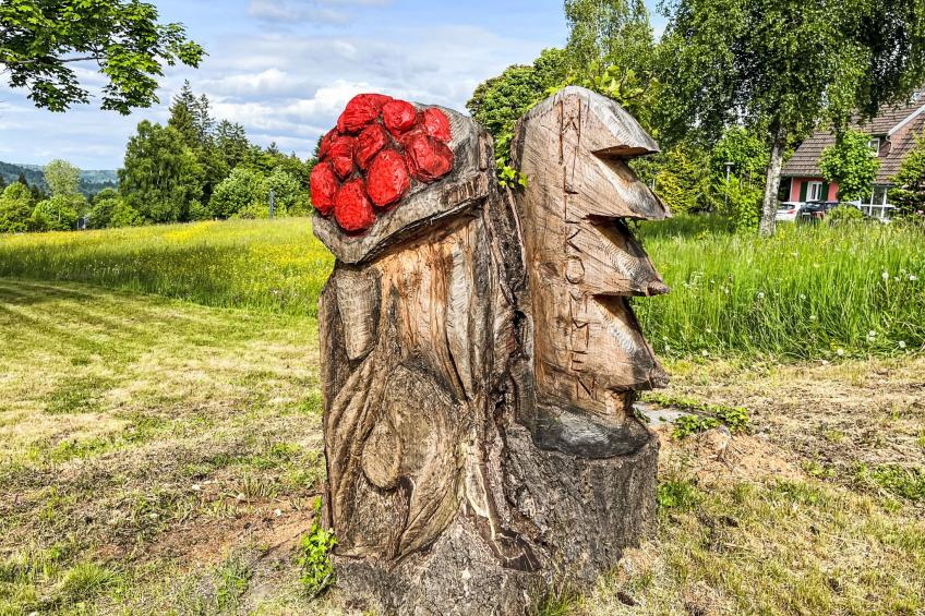 Haus Sonnenmatt - foto 4