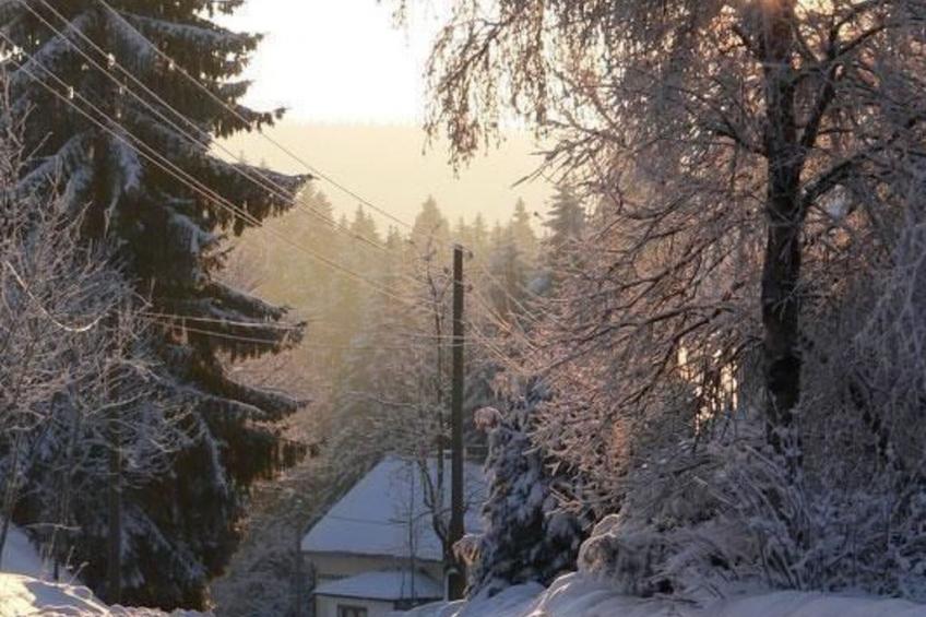 Wiesengrund - foto 17