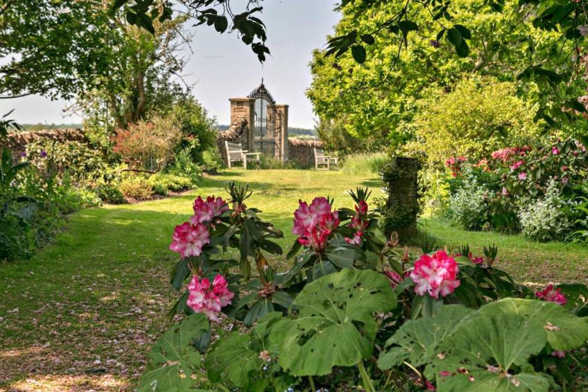 Kite's Gate - foto 9