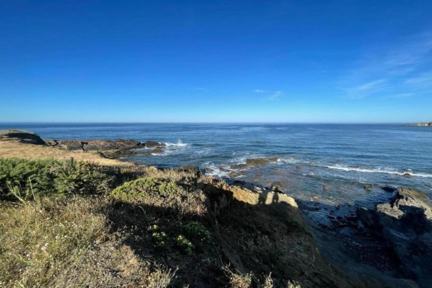 Maison de vacances - AVRILLÉ - foto 30