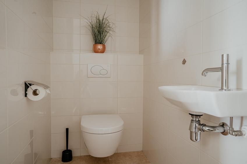 De ZeeParel - Pink Shrimp - foto 37