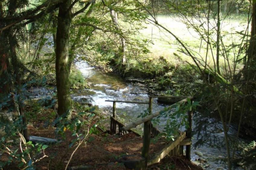 Altes Forsthaus - foto 13