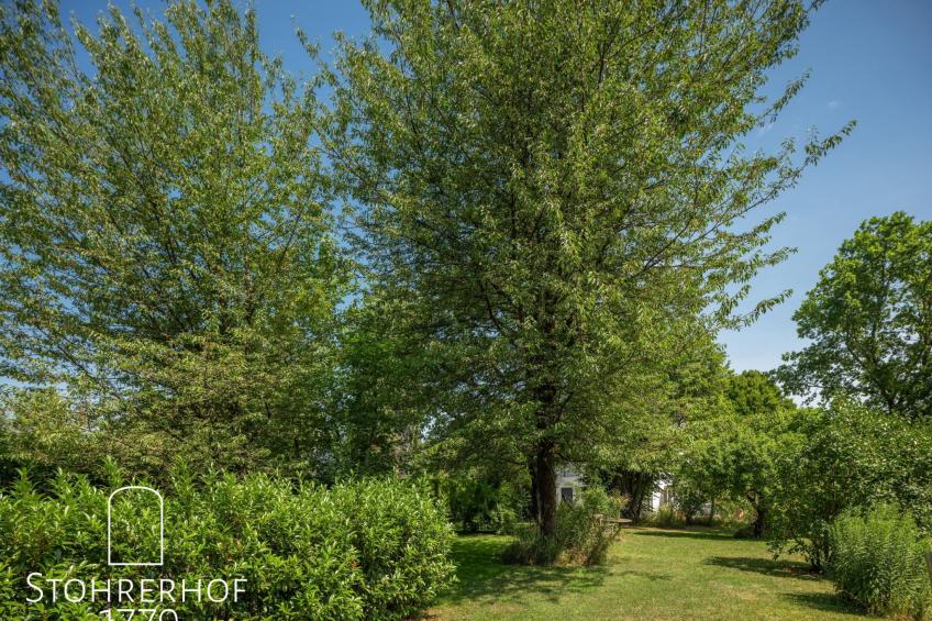 Wunderschönes Ferienhaus mit Kamin in Riederau - foto 37