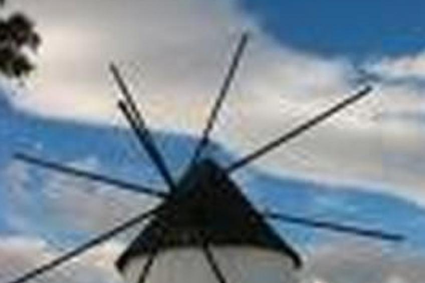 Casa Dolores - foto 12