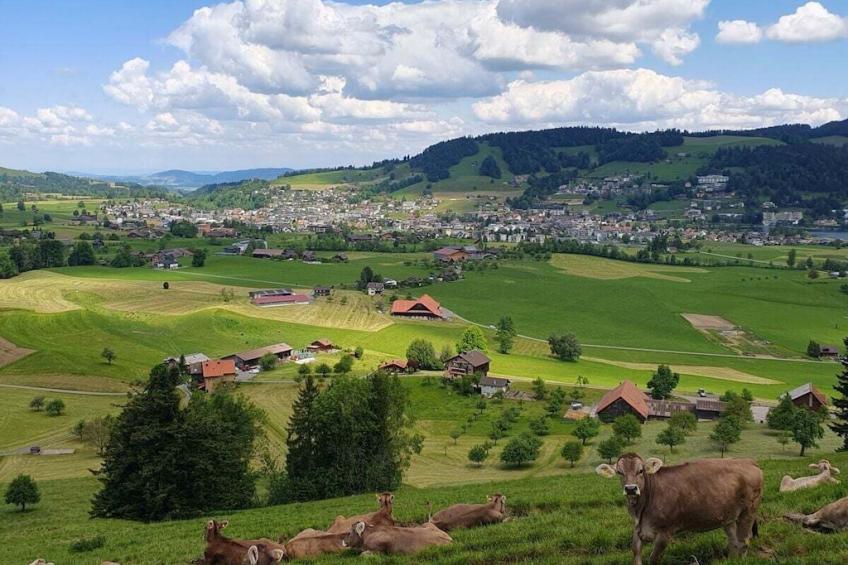 87981