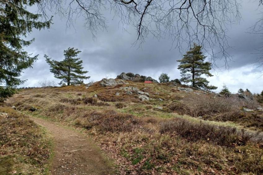 Urlaub auf dem Bauernhof - foto 36