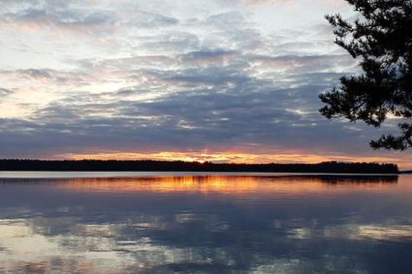 Lähesniemi - foto 36
