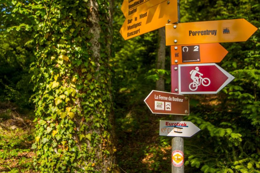 Leben "Im Herzen der Farm" - foto 17