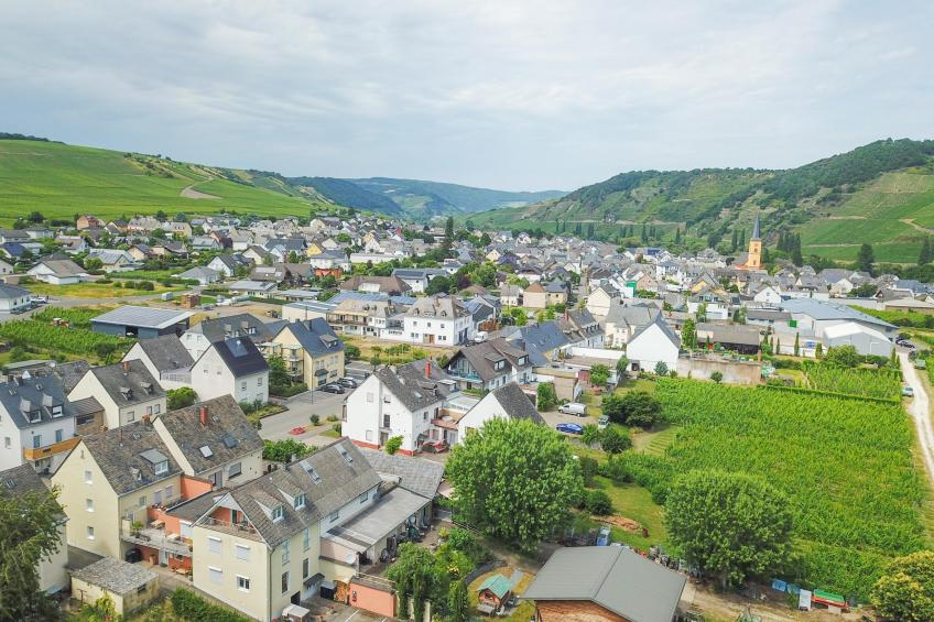 Weingut HermesLex - foto 27