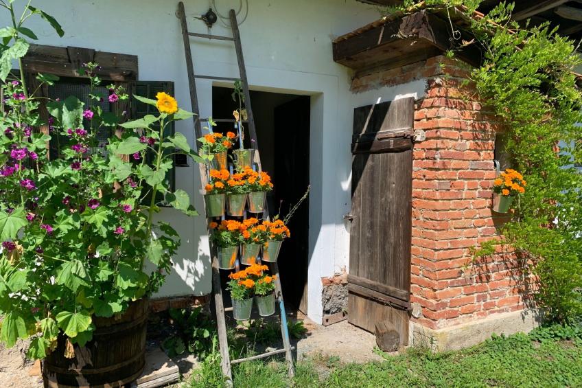 Kellerstöckl am veganen Bio-Lebenshof - Varm - the vegan Farm - foto 37