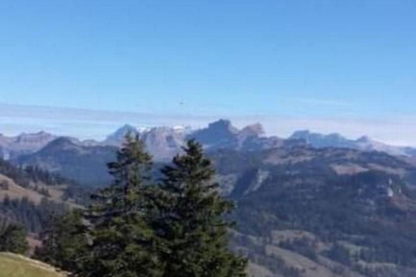 Guntern in Lauerz - foto 13