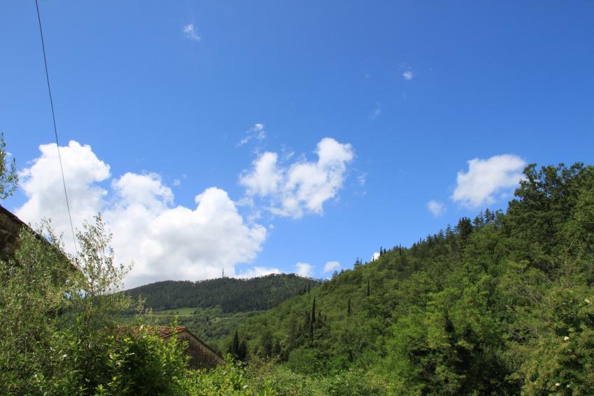 Le Olive - foto 36