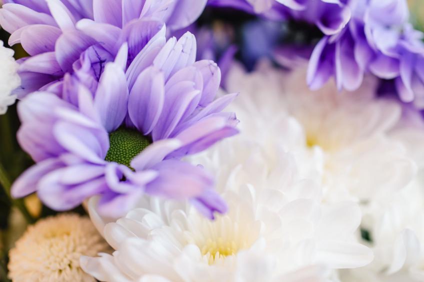 Cooriedoon - foto 39