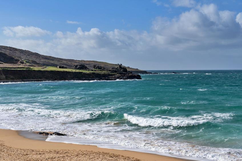 No. 5 Harlequin - foto 18