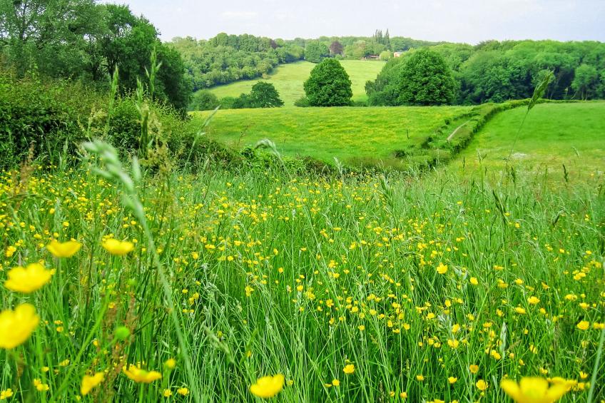 Bungalowpark Landsrade - foto 20