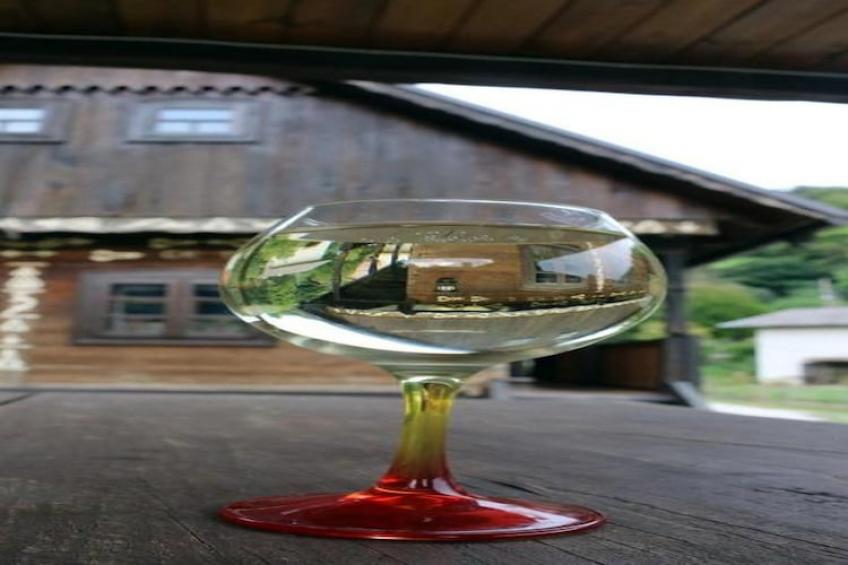 Tradicionalna Zagorska drvena kuća Stara murva  - Three Bedroom Holiday Home  with Patio - foto 5