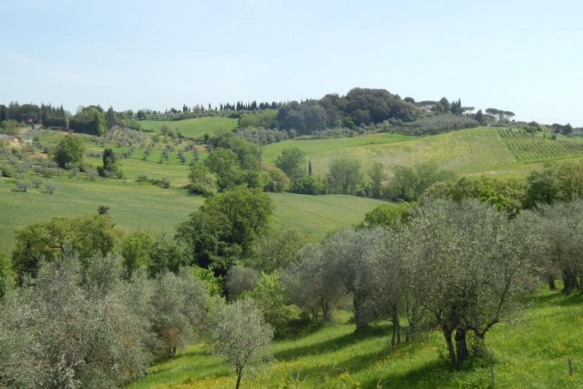 Wohnung auf dem Lande, 3 km vom Zentrum von Siena entfernt - foto 18