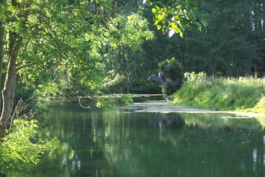 Des 3 Mathildes - foto 30