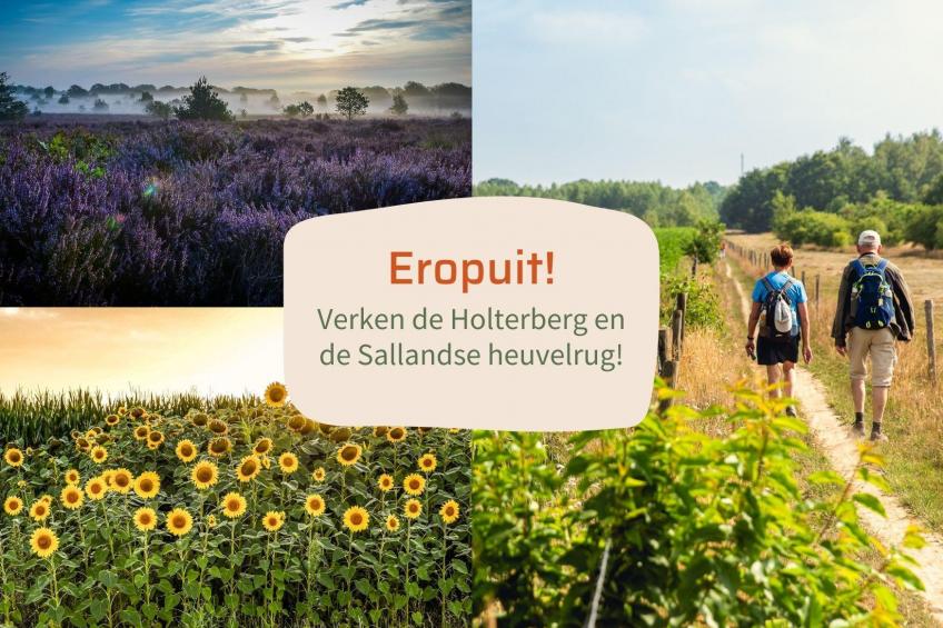 Forest lodge with hot tub - 4 people - foto 21