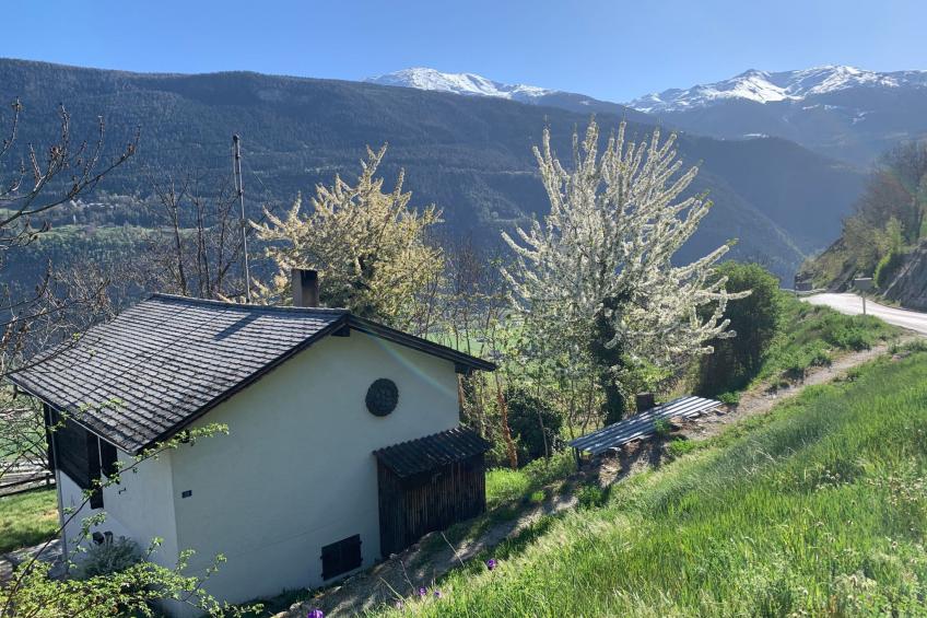 Malu in Ausserberg - foto 2