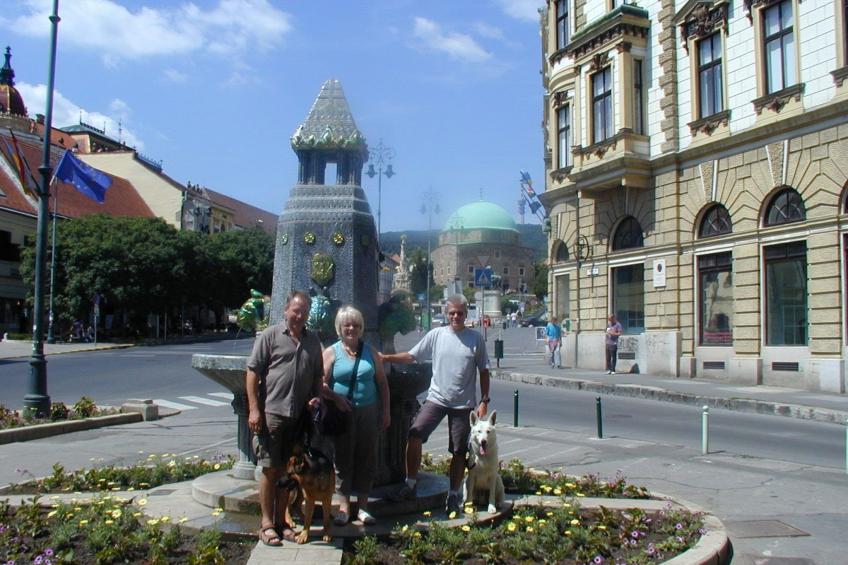 in Döbrököz mit privatem Pool - foto 50