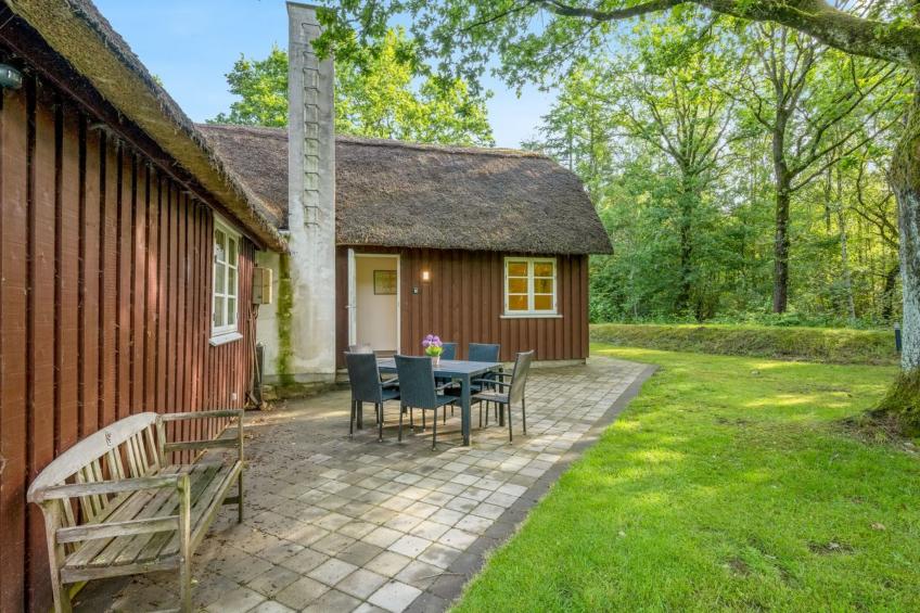 "Fina" - 15km from the sea in Western Jutland - foto 13