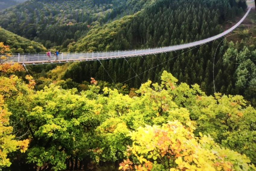 Appartement mit Balkon - foto 25