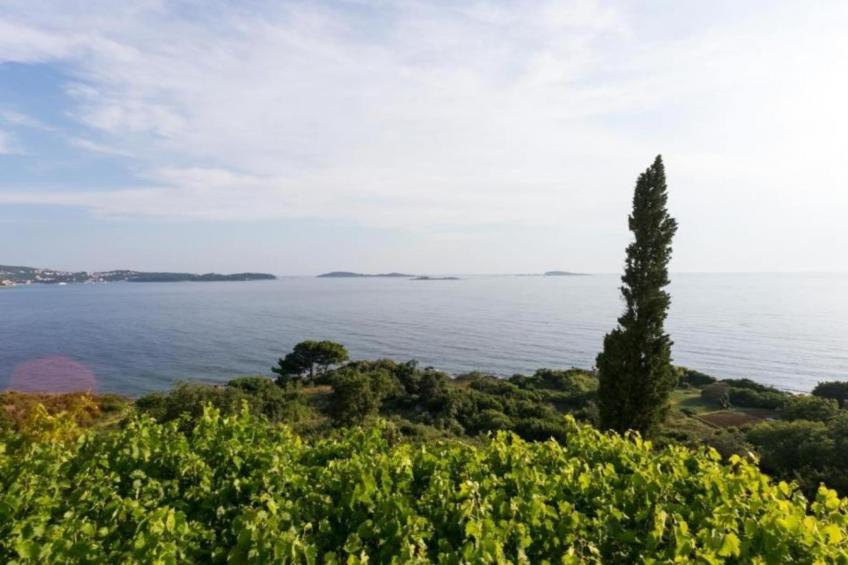 Villa Samba - Superior One-Bedroom Apartment with Balcony and Sea View - foto 38