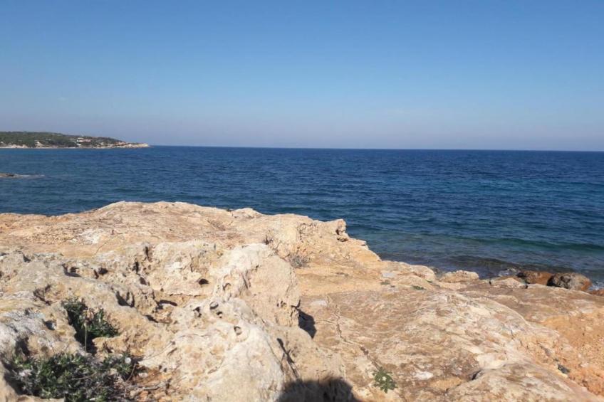 Rafina Port Comfortable - foto 28