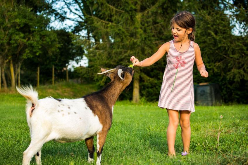 Wohnung "El Corral" mit Terrasse - foto 31
