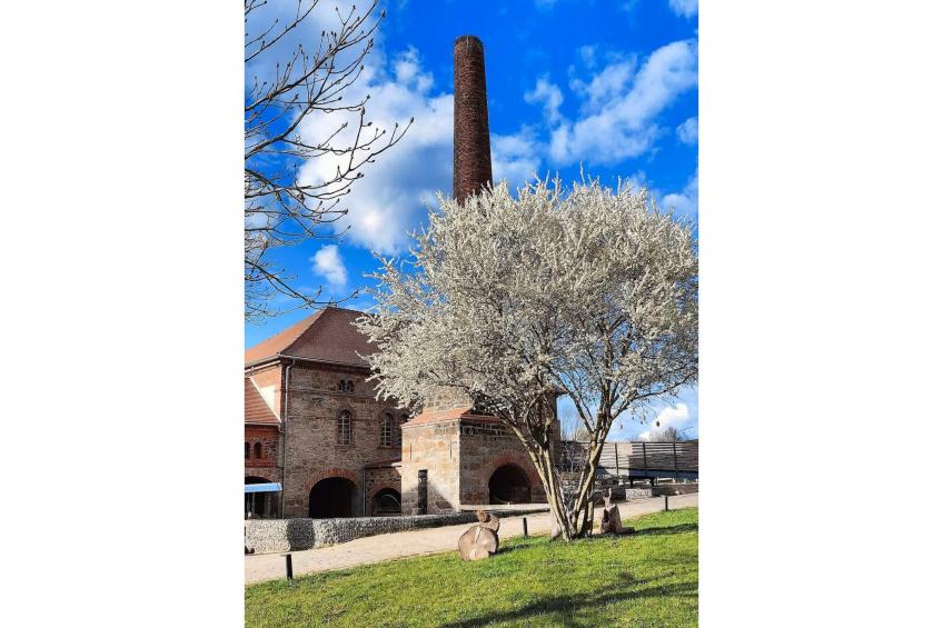 TH3 1P 40€(5) Schulz - foto 11