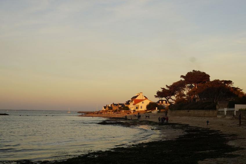 242373 - foto 20