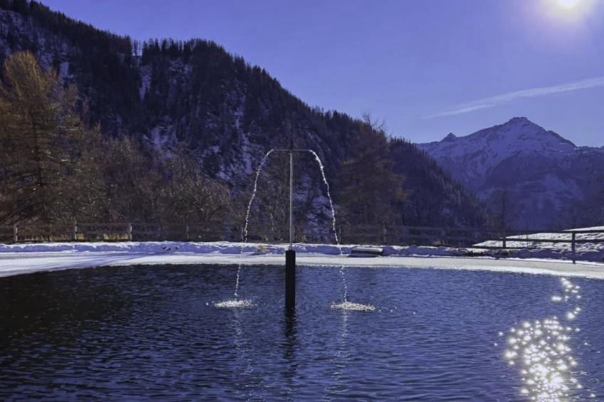 Dösentaler Bergidyll - foto 34