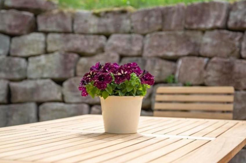 mit Blick auf das Wasser - foto 27