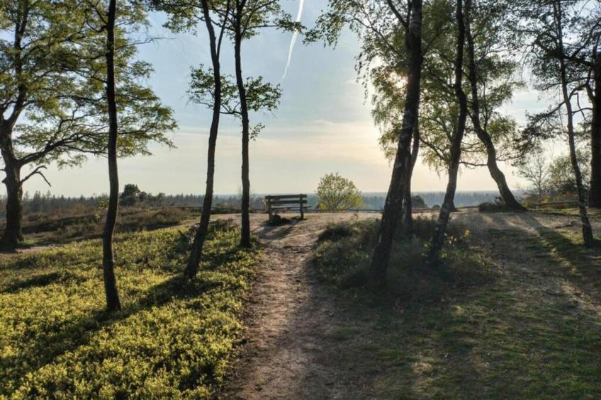 Park Haarle - foto 25