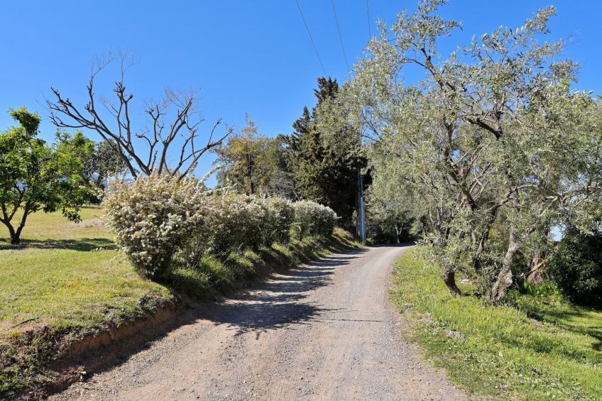 Domaine Punta della Guardia Maison A Figa mit Blick auf das Meer - foto 22