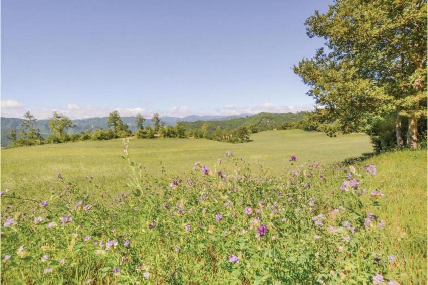 Calfattore Duchessa - foto 24