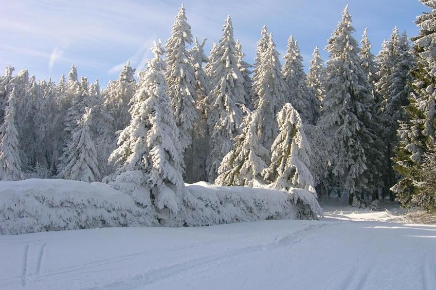 Kleine, gemütliche Ferienwohnung im Erholungsort - foto 13