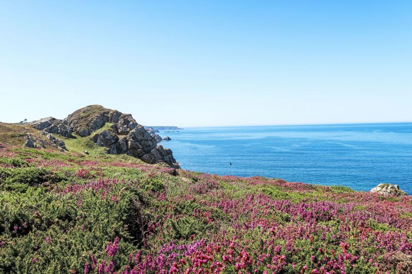 Gîte du four à pain (Unterkunft im Brotofen) - foto 30