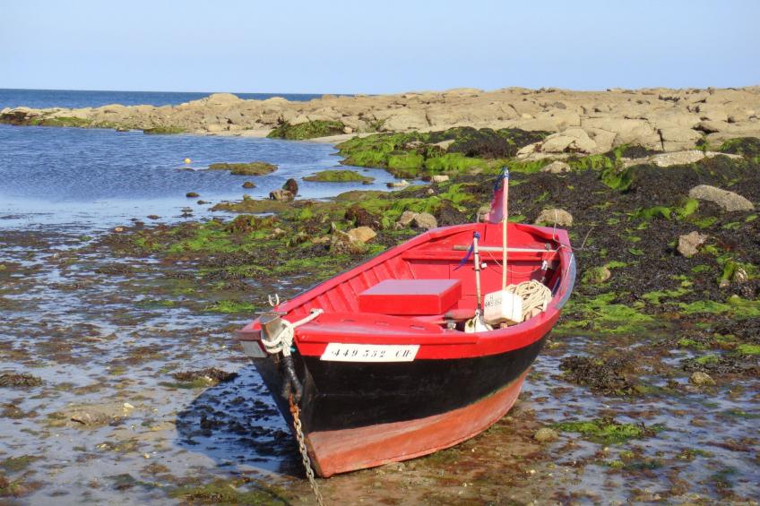 Ferienvilla "Das Haus Louise" - foto 21