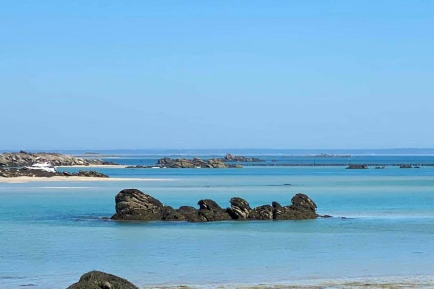 LE BASTIDON - foto 34
