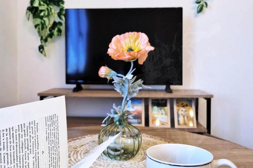 Studio à Toulouse - foto 34